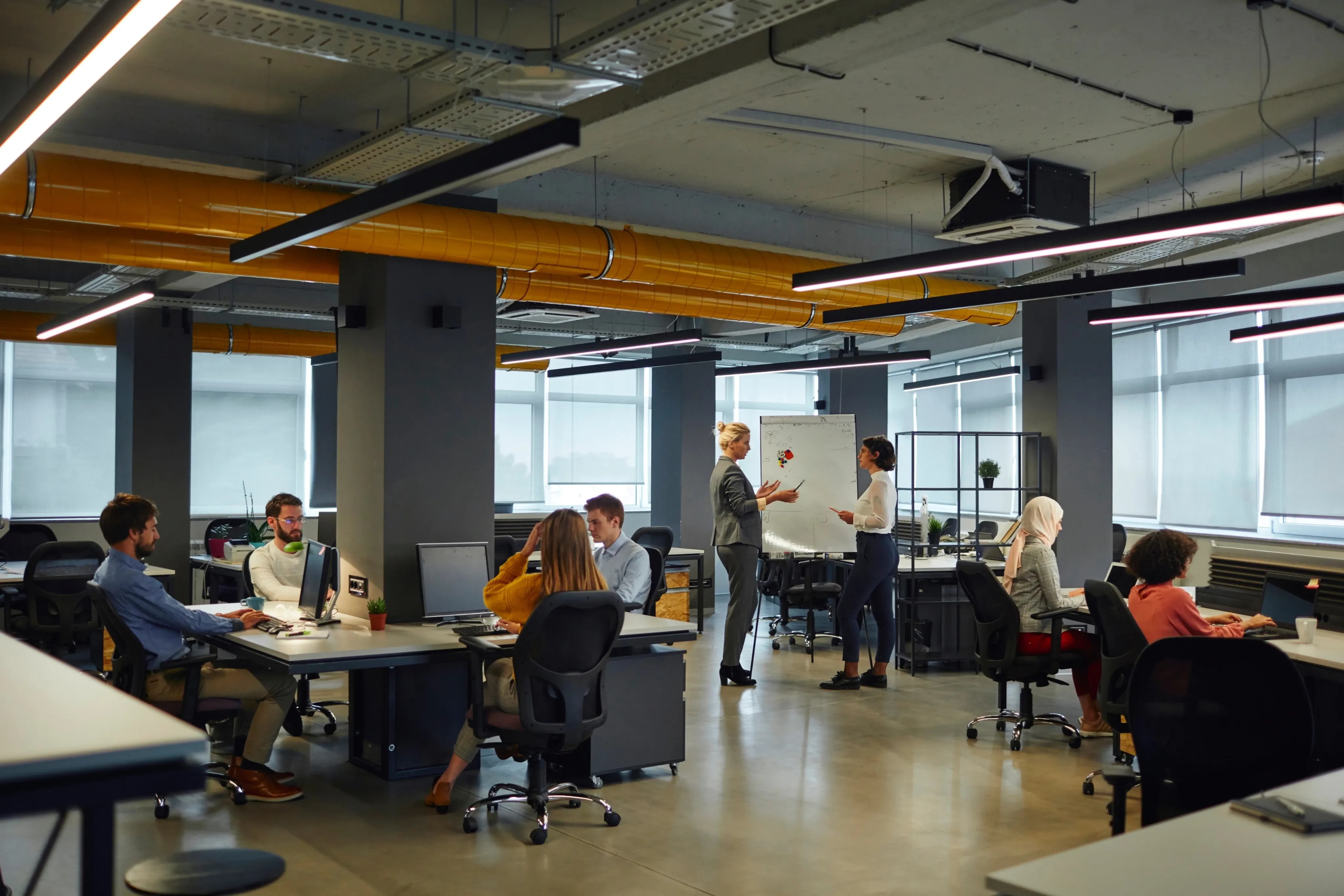 Sector empresarial: Corporaciones y oficinas