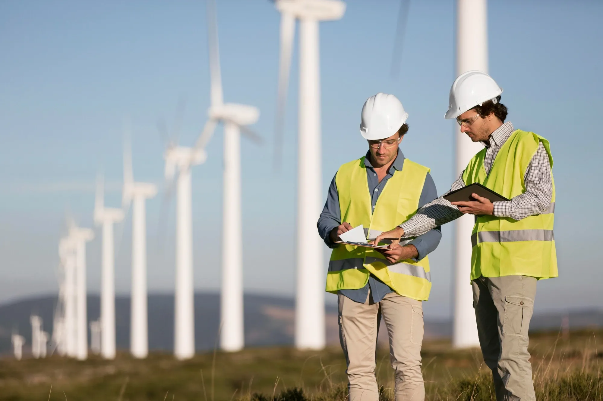 Sector empresarial: Minería y energía
